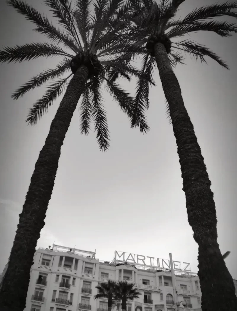 DJI_Palm_Martinez_D
